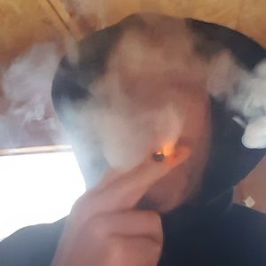 Meet your Posher, Damien